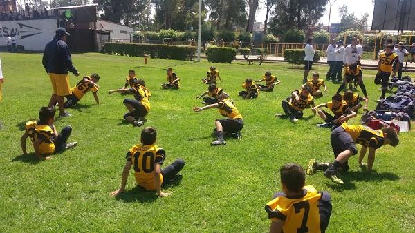 Imagen 78 LINIA foto