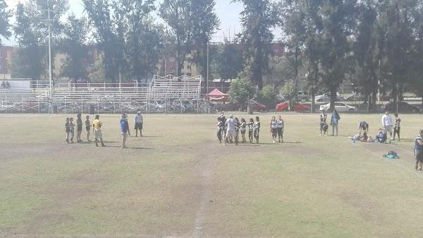 Imagen 79 LINIA foto