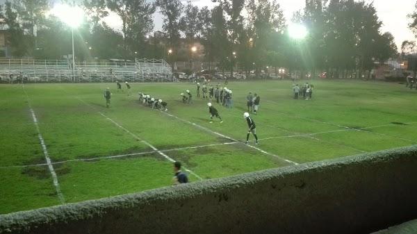 Imagen 82 LINIA foto