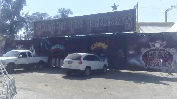 Imagen 83 LINIA foto