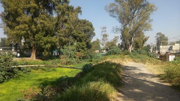 Imagen 84 LINIA foto