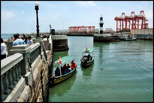 Imagen 2 MAJORAL foto