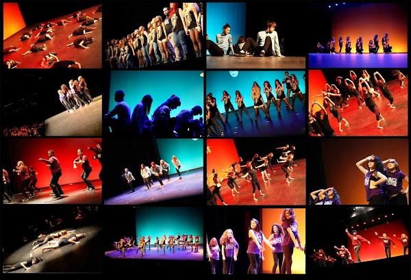 Imagen 34 MAJORAL foto