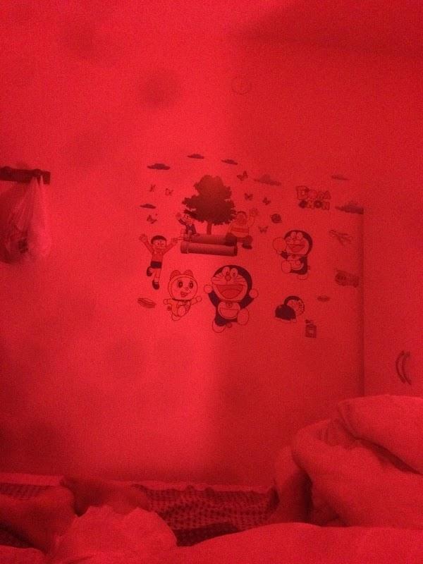 Imagen 36 MAJORAL foto