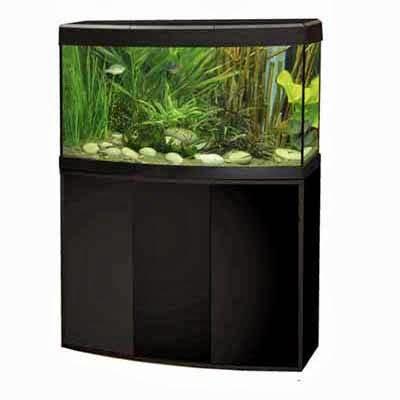 Imagen 2 Printwaves Designs & Prints foto