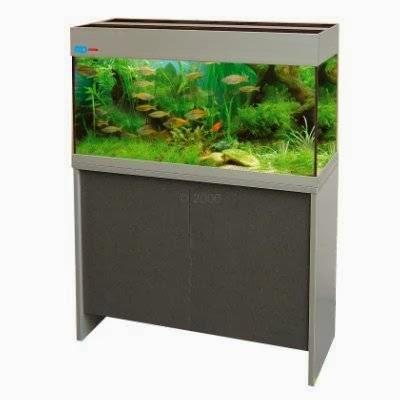 Imagen 4 Cementiri foto