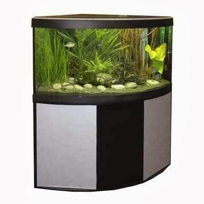 Imagen 6 Cementiri foto