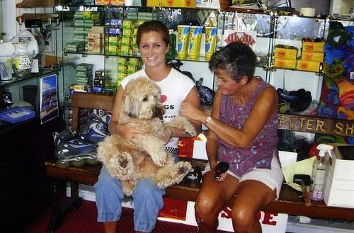 Imagen 8 Portal de Cumbres foto