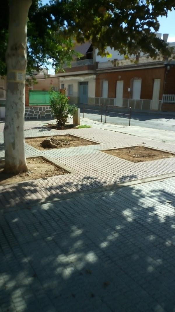 Imagen 38 Prosonic 53 foto