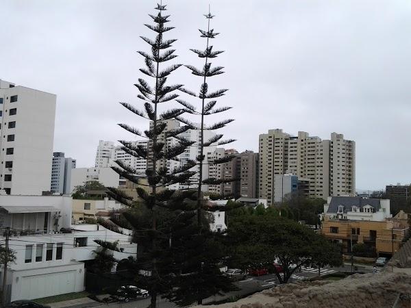 Imagen 7 BALTRA foto