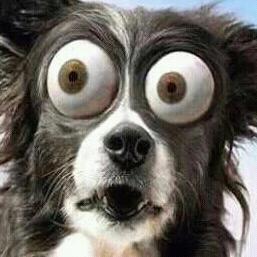 Imagen 1 Oficina de Empleo foto