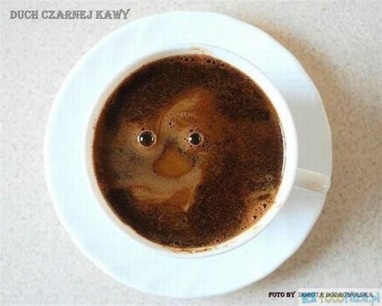 Imagen 21 Málaga Baterías S.L. foto