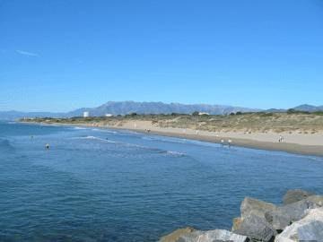 Imagen 30 Mi Viejo Café Sucursal Animas foto