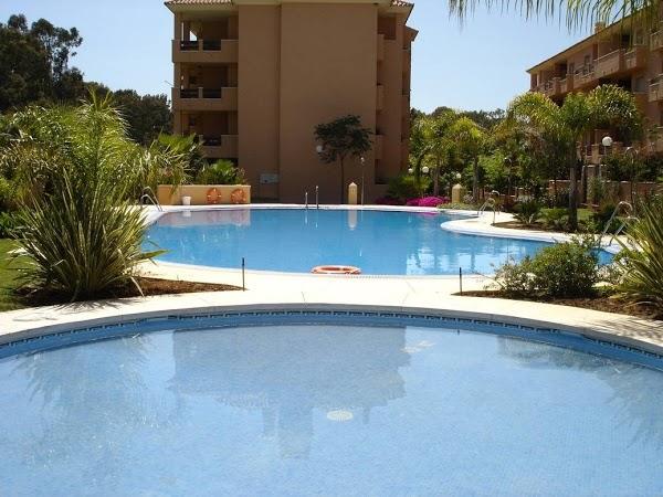 Imagen 59 Mi Viejo Café Sucursal Animas foto