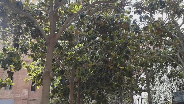 Imagen 30 COMPUACCESORIOS foto