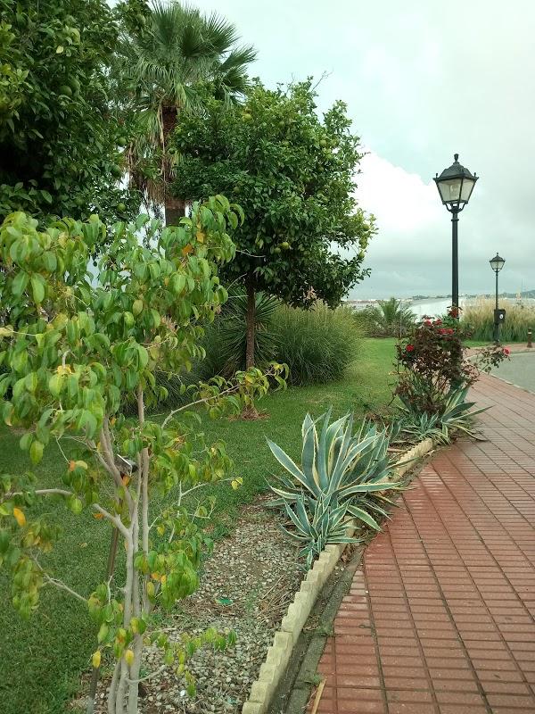 Imagen 82 Restaurante Cafe-Bar Nieto foto