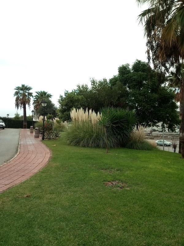 Imagen 92 Restaurante Cafe-Bar Nieto foto