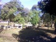 Imagen 9 Panificadora Valero foto