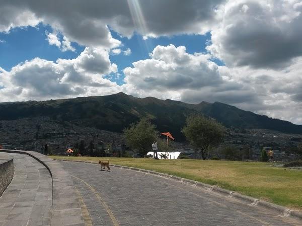 Imagen 2 Ansa 95 SLP foto