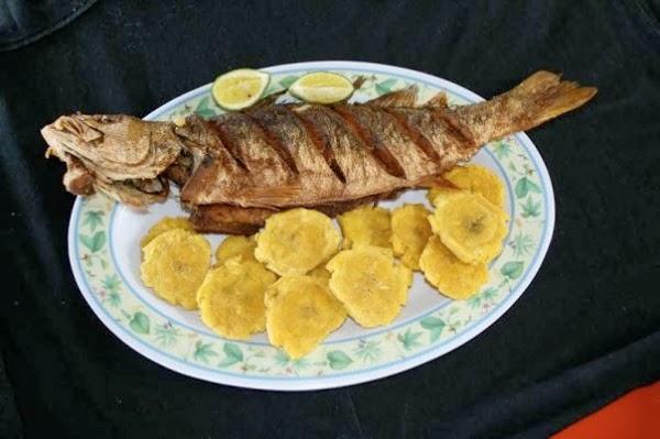 Imagen 49 Bunga Raya foto