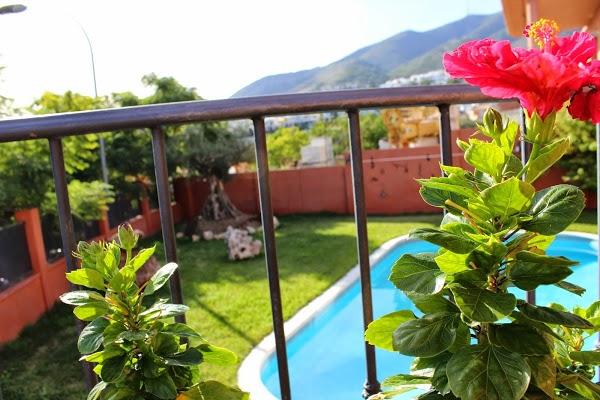 Imagen 25 Centro Veterinario Serramar foto