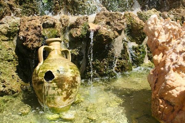 Imagen 28 Centro Veterinario Serramar foto