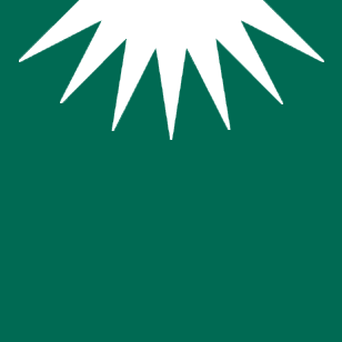 Imagen 7 RESTAURANTE CHINO JARDIN IMPERIAL foto