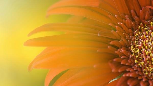 Imagen 7 Ariane Webdesign foto