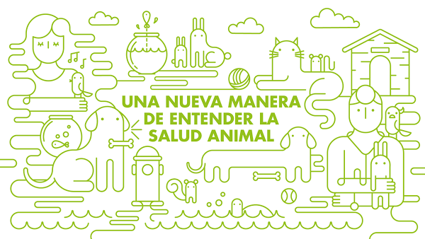 Imagen 144 Clínica Veterinaria Kansas City - Urgencias 24 horas foto