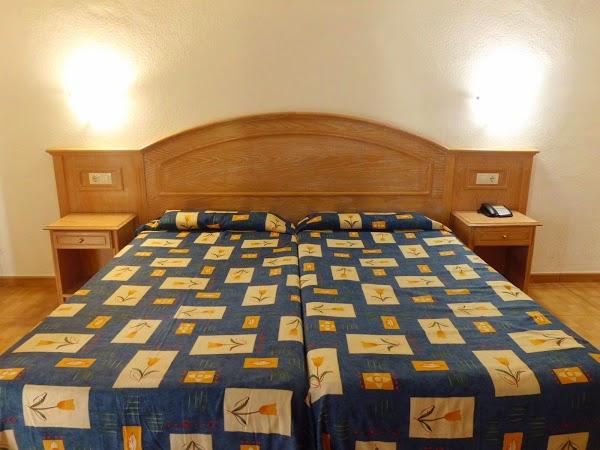 Imagen 24 Clínica Veterinaria Kansas City - Urgencias 24 horas foto