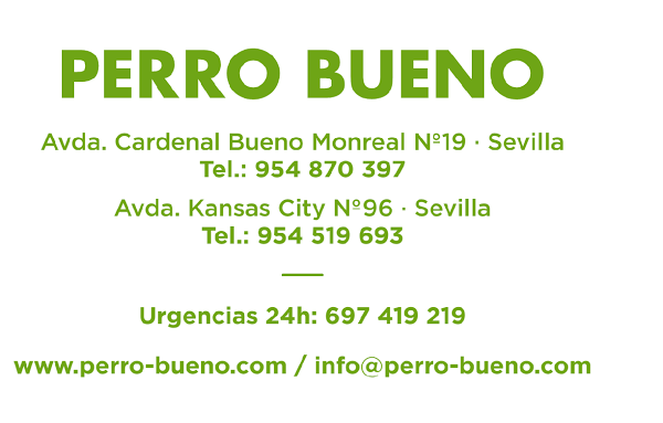 Imagen 278 Clínica Veterinaria Kansas City - Urgencias 24 horas foto