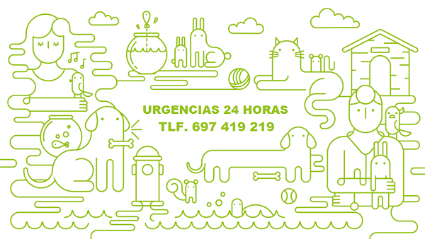 Imagen 293 Clínica Veterinaria Kansas City - Urgencias 24 horas foto