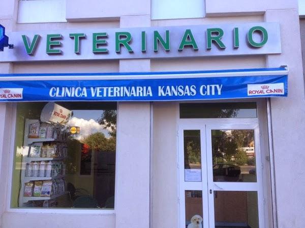 Imagen 62 Clínica Veterinaria Kansas City - Urgencias 24 horas foto