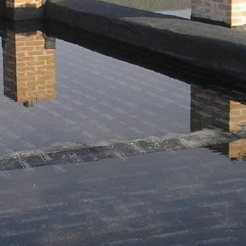 Imagen 21 El Concejo foto