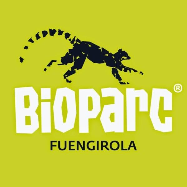 Imagen 19 Bioparc Fuengirola foto