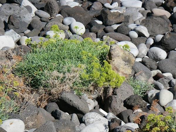 Imagen 17 Mateco Levante. Servicios integrales foto
