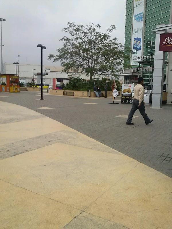 Imagen 14 Hotel Paris foto