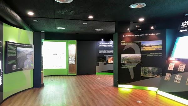 Imagen 128 Centro de Visitantes GUADIAMAR / GuadiamarEduca SLNE foto