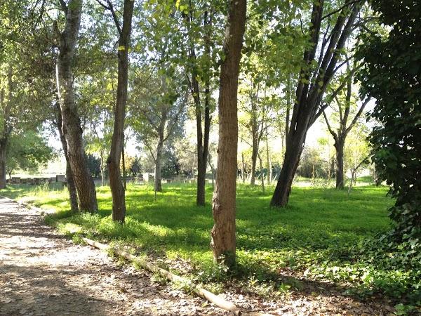 Imagen 72 Ayuntamiento de Aranjuez Centralita foto