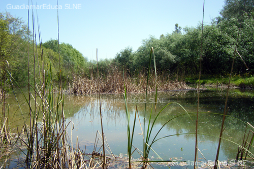 Imagen 9 Ayuntamiento de Aranjuez Centralita foto