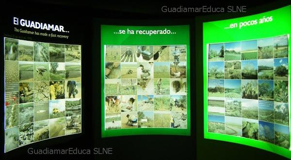 Imagen 97 Centro de Visitantes GUADIAMAR / GuadiamarEduca SLNE foto