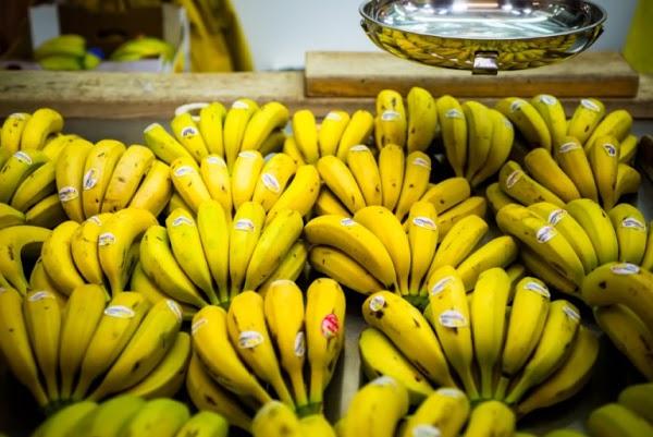 Imagen 5 La Libertad foto