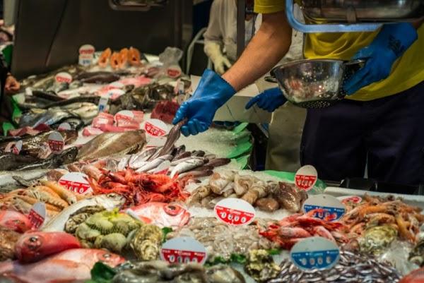 Imagen 8 La Libertad foto