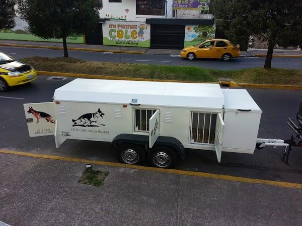 Imagen 44 Studio Floral foto