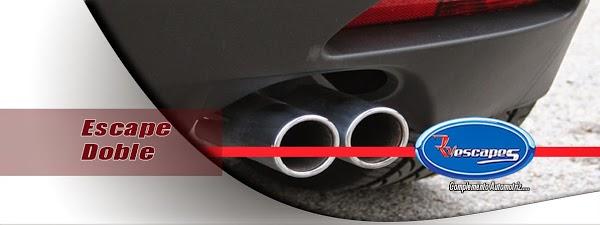 Imagen 50 Studio Floral foto