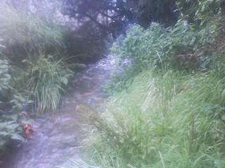 Imagen 18 Centro Privado/Concertado de Enseñanza la Salle foto