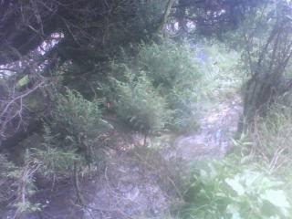 Imagen 21 Centro Privado/Concertado de Enseñanza la Salle foto