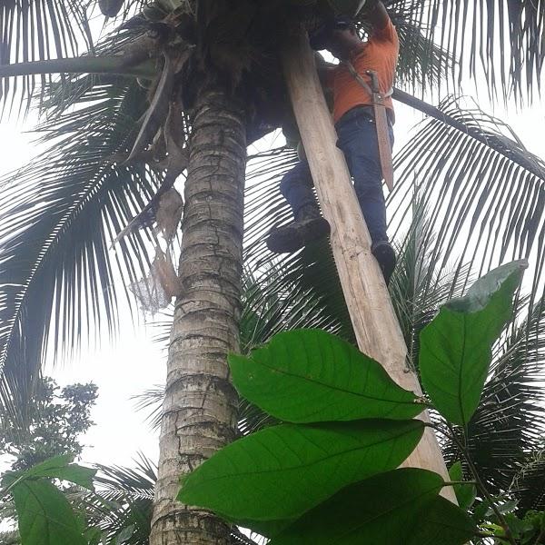 Imagen 32 Centro Privado/Concertado de Enseñanza la Salle foto