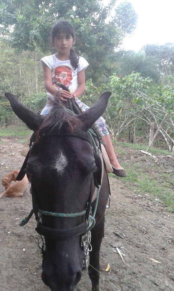 Imagen 38 Centro Privado/Concertado de Enseñanza la Salle foto