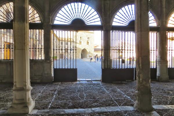 Imagen 11 Circus Park El Dorado foto